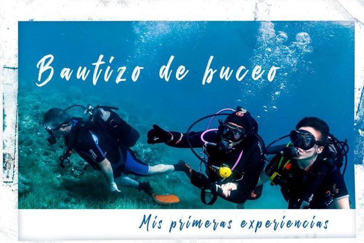 Villa Artep Lujoso Apartamento Con Piscina Comunitaria Cartagena Exteriör bild